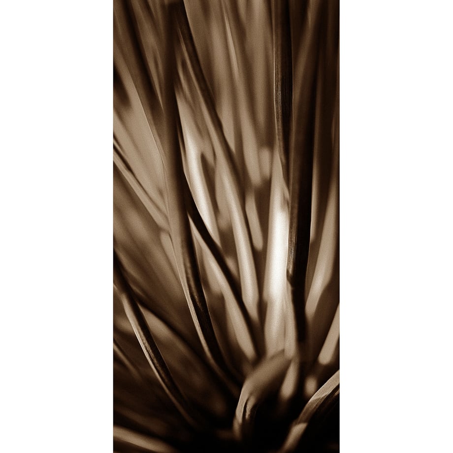 61e0962d113ce0187ed43bdd