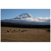 富士の麓で
