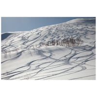 雪面のアート（白馬乗鞍）