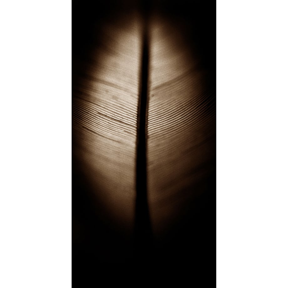 61e096ef81dbb52bfd81dd73