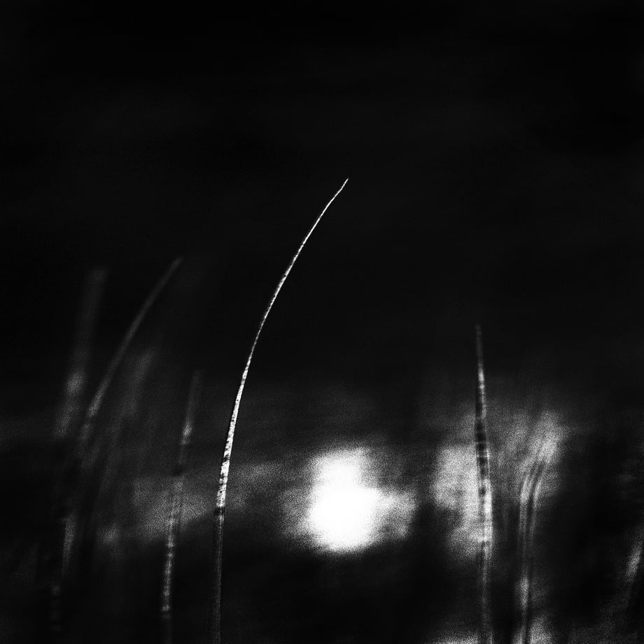 61e08aaa113ce01203d43be0
