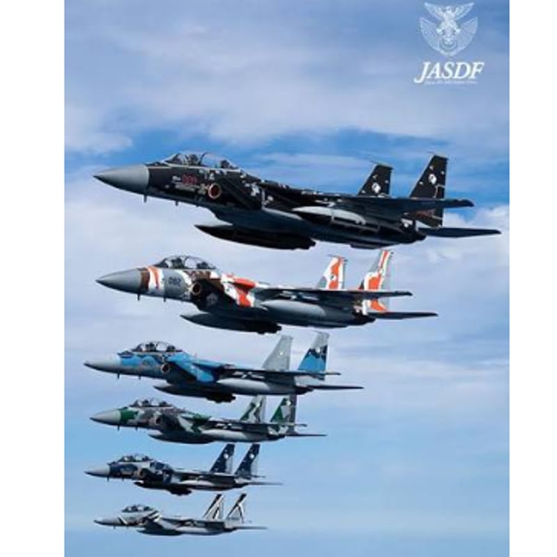 送料込】航空自衛隊アグレッサー（飛行教導群）ネックストラップ45cm