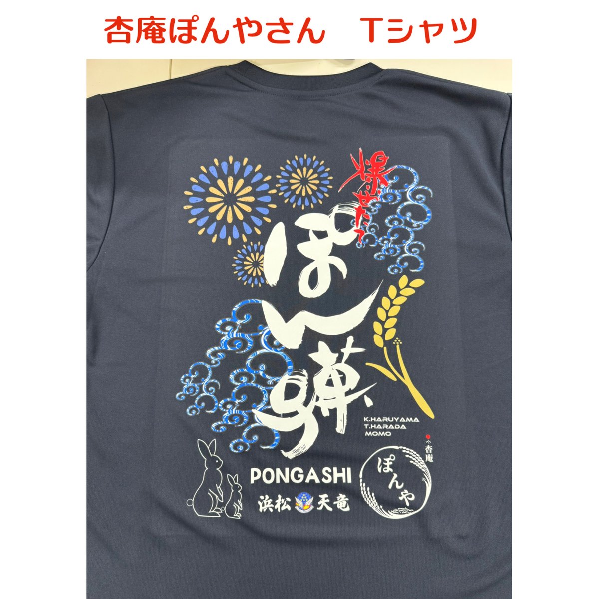 自分大好きもっちー虹龍大神、アイーンさん紋章tシャツ、本2冊セット 受注生産】 【送料無料】杏庵ぽんやさん 公式Tシャツ | 自衛隊グッズ