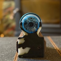 SDGsクワガタ | TENt o TEN