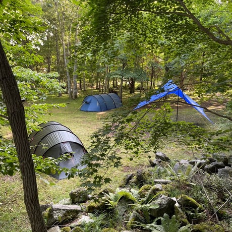 ROKU  TARP