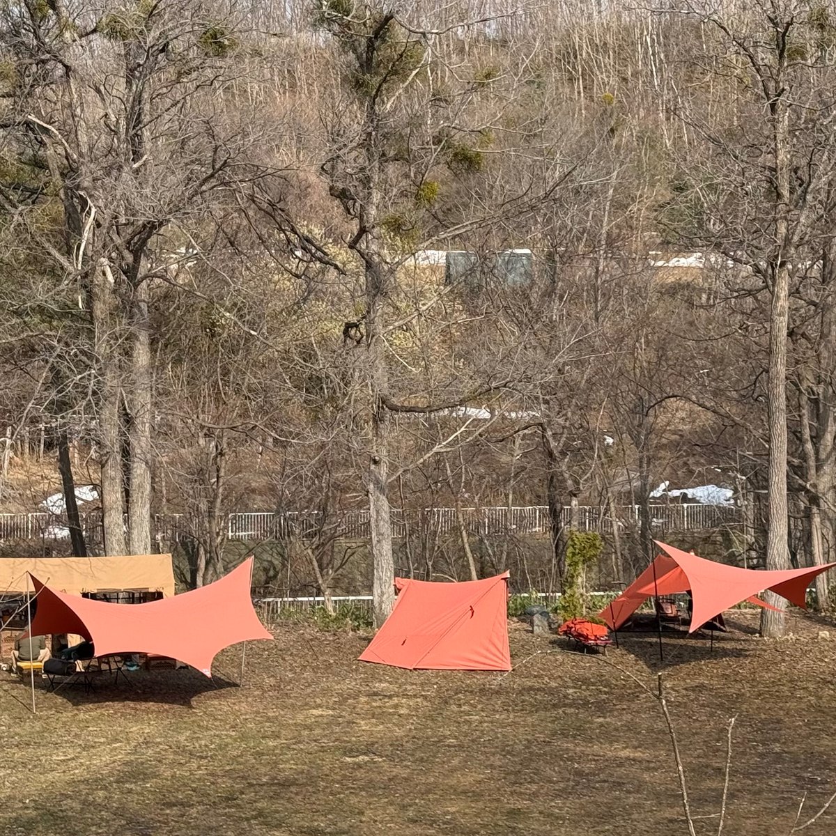 BIRD HAUS ノワ(八角形タープ) | TENt o TEN