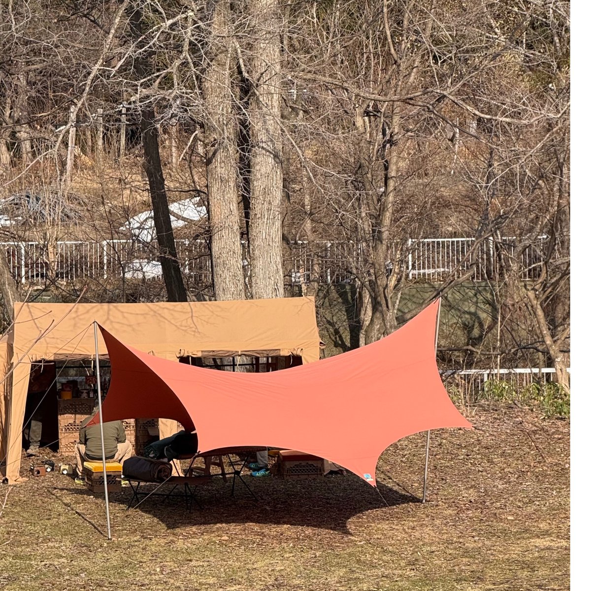 momo_10kiro maico ノワタープ NEOWA マスタード ノワ (NEOWA) : MAICOGEAR JAPAN