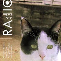 ラヂヲ／RAdIO　地底レコード B28F（50枚限定）