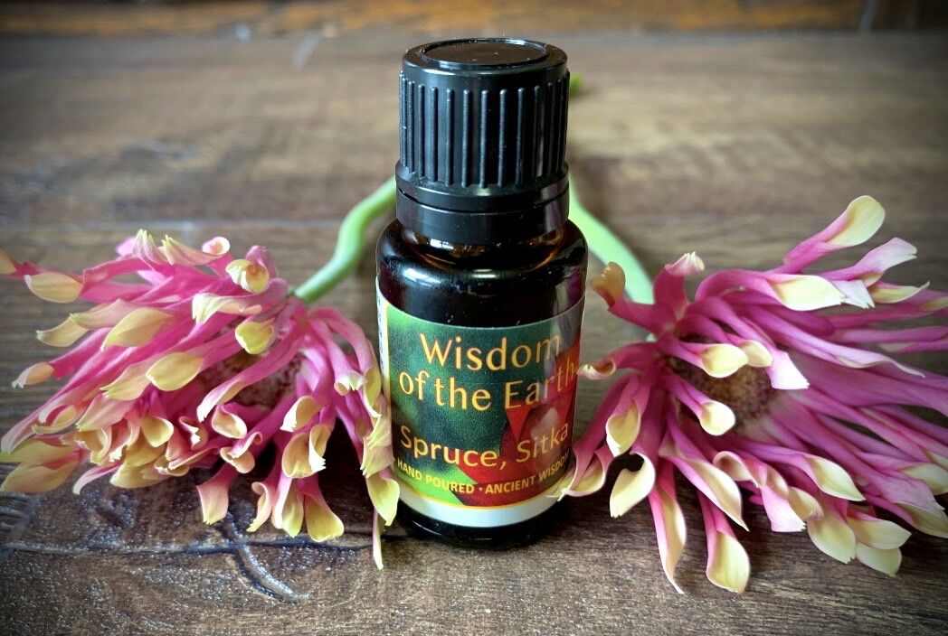 wote 精油　Wisdom of the Earthスプルース15m 6割残 スプルース(ブルー) 15ml | 