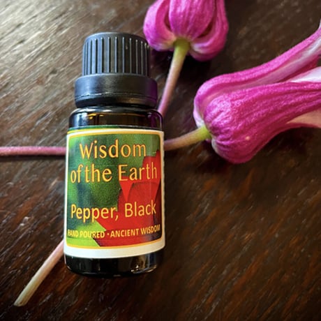 WOTE メディシナルアロマセラピスト認定講師がお勧めする精油をご紹介🌿