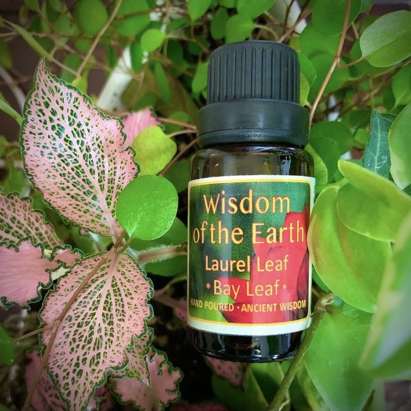 ローレルリーフ 15ml 《魂を活き活きと輝かせる》 | WOTE メディシナル