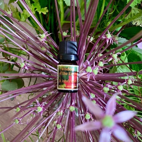 WOTE メディシナルアロマセラピスト認定講師がお勧めする精油をご紹介🌿