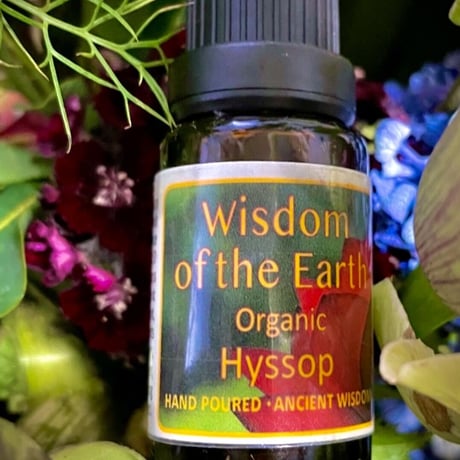 WOTE メディシナルアロマセラピスト認定講師がお勧めする精油を