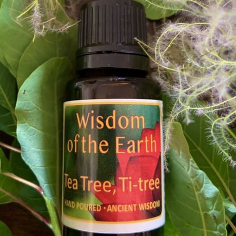 WOTE メディシナルアロマセラピスト認定講師がお勧めする精油を