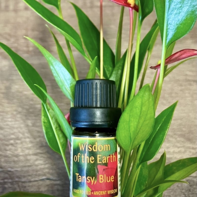 タンジーブルー 5ml | WOTE メディシナルアロマセラピスト認定講師がお