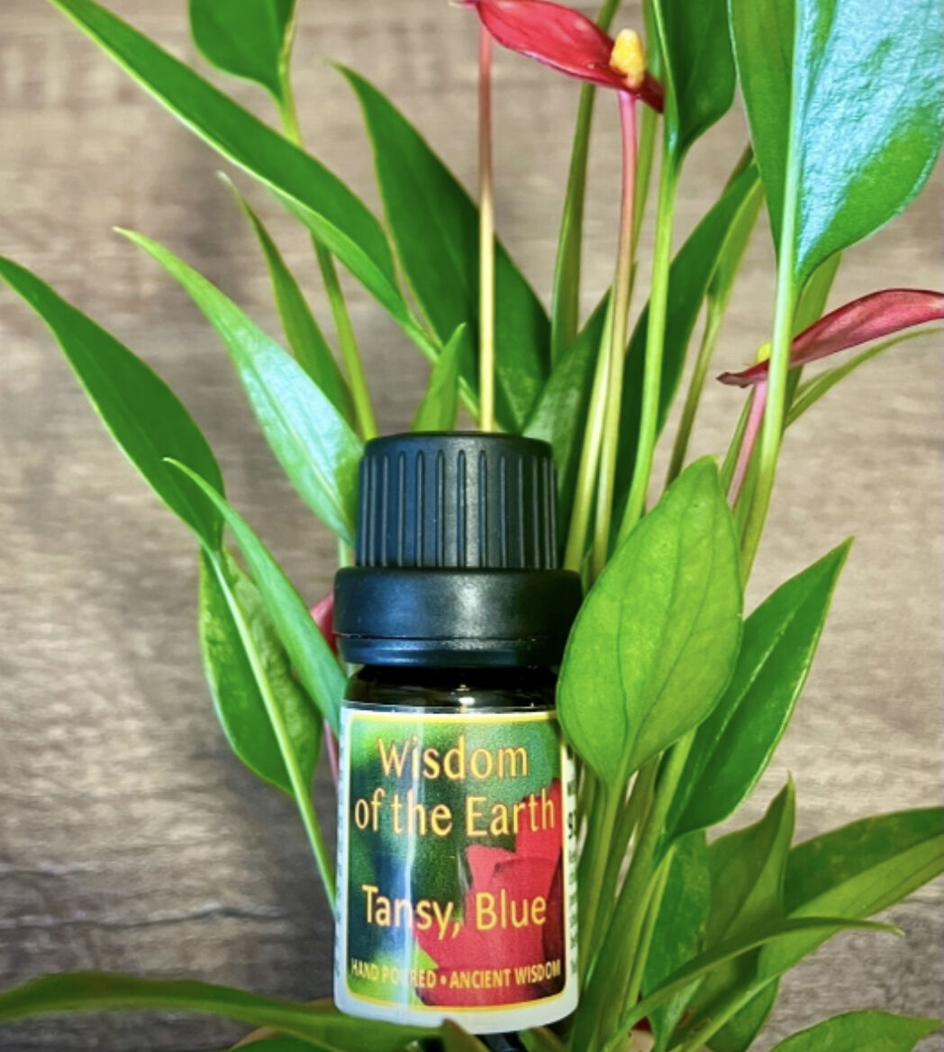 タンジーブルー 5ml | WOTE メディシナルアロマセラピスト認定講師がお