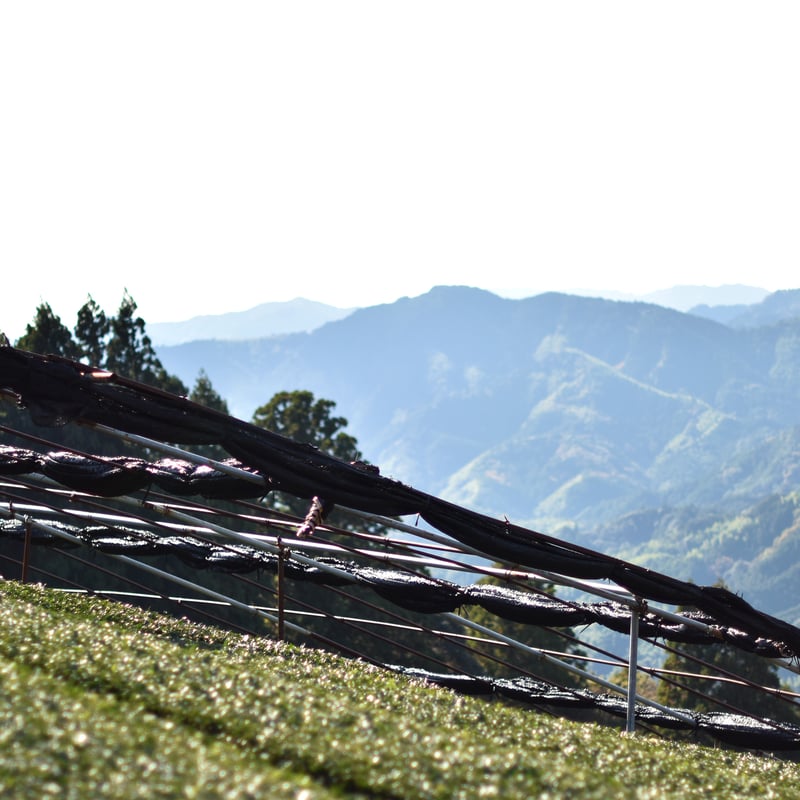 Mellojoy 抹茶スフレ　バター　パルミエチョコ　天使爪　4点セット mellojoy 贅沢スフレ(抹茶)＋伸びるチーズ＋チーズベア