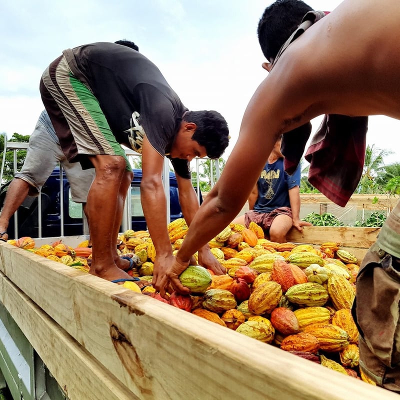 Camel サータ パーフェクトスリーパー Q1サイズ 定価20万円超 サータカタログ2025