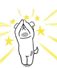名前を書いて入れるだけ