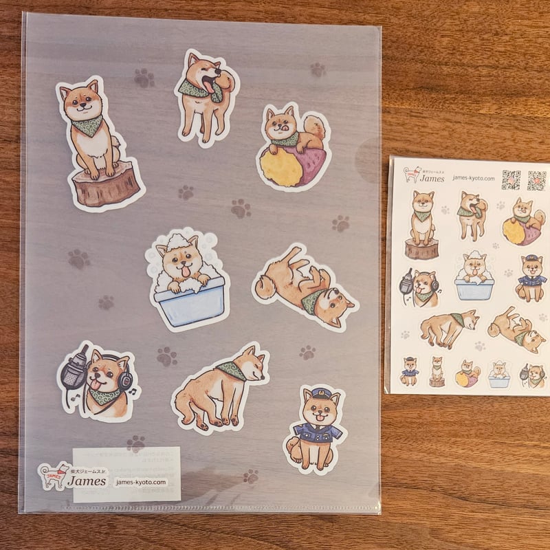 犬キャラクタークリアファイル4枚セット 楽天市場】犬 クリアファイル