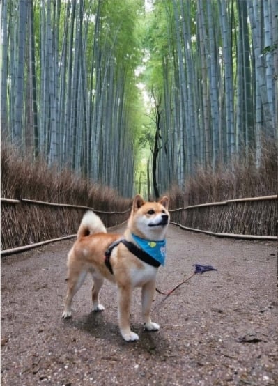 クリアファイル（両面竹林） | 嵐山の柴犬ジェームス