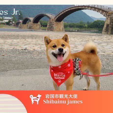ITEM | 嵐山の柴犬ジェームス