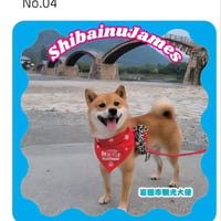 ジェームスステッカー　No.4　観光大使