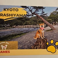 NEW　ポストカードNo1（渡月橋）