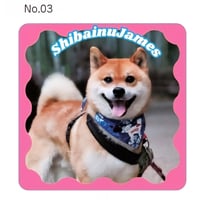 ジェームスステッカー　No.3　上半身