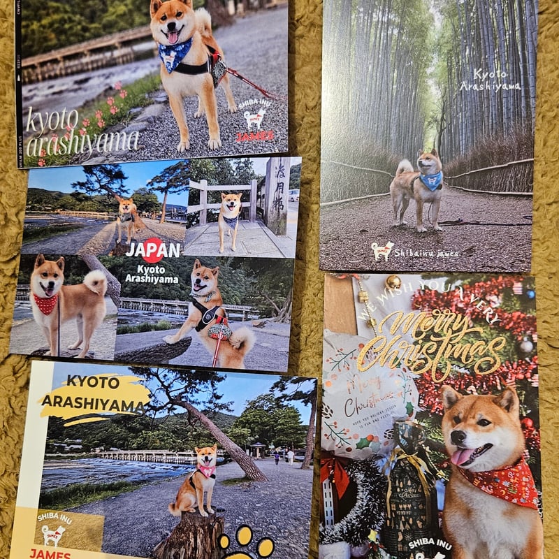 NEW ポストカードお得な5枚セット | 嵐山の柴犬ジェームス