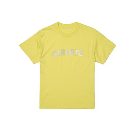 AUI NITE reflect logo tee