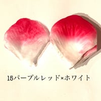 花びらno.15