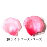 花びらno.20