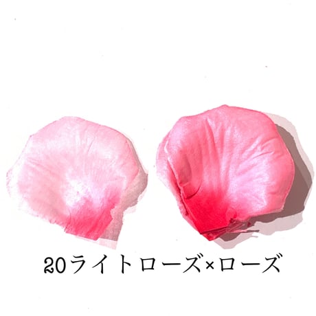 花びらno.20
