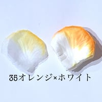 花びらno.35