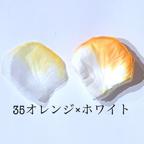 花びらno.35