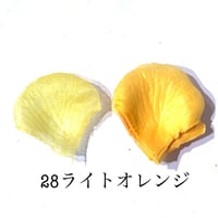 花びらno.28