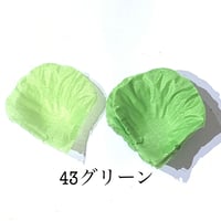 花びらno.43
