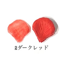 花びらno.2