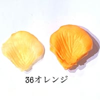 花びらno.36