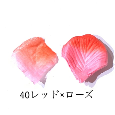 花びらno.40