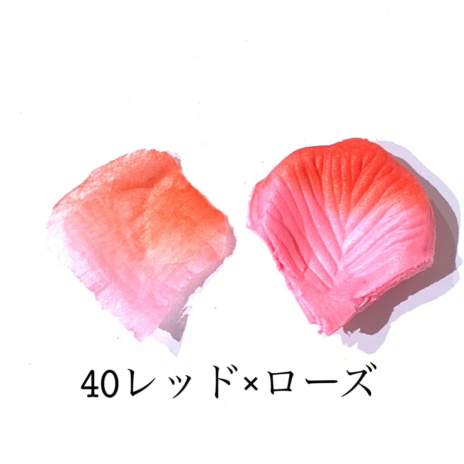 62ed2df95d05ec1661c40cfc
