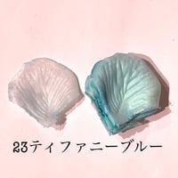 花びらno.23