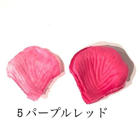 花びらno.5