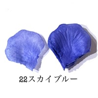 花びらno.22