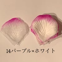 花びらno.14
