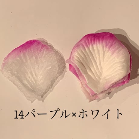 花びらno.14