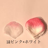 花びらno.12