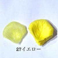 花びらno.27