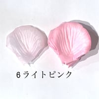 花びらno.6
